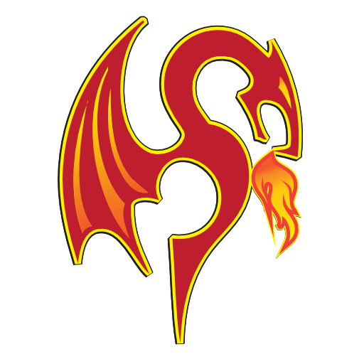 Fireplace Pros Colorado Springs Fireplace Repairs, Cleaning and Repairs